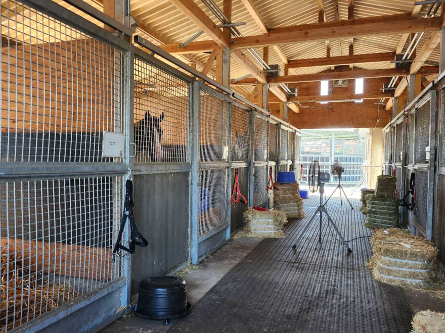 衛生管理の行き届いた、快適な馬の個室